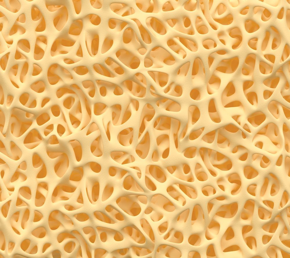 Closeup of porous bone tissue